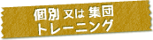 個別又は集団トレーニング